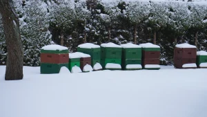 Bienenbeuten der Imkerei im Schnee
