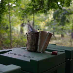 Imkerei-Smoker und Stockmeißel auf einer grünen Beute im Wald