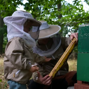 Vater zeigt Kind in Imkerkleidung eine Wabe mit Bienen vor dem Bienenstock.
