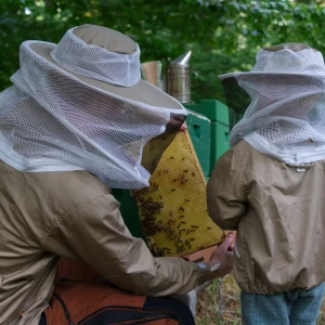Vater und Kind arbeiten gemeinsam an den Bienenstöcken