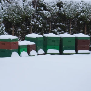 Bienenbeuten der Imkerei im Schnee